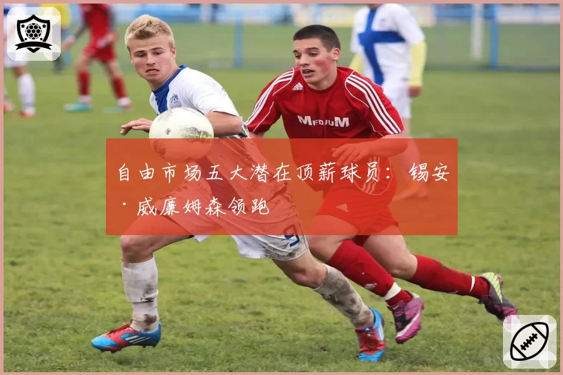 自由市场五大潜在顶薪球员：锡安·威廉姆森领跑