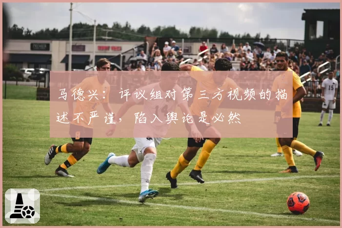 马德兴：评议组对第三方视频的描述不严谨，陷入舆论是必然