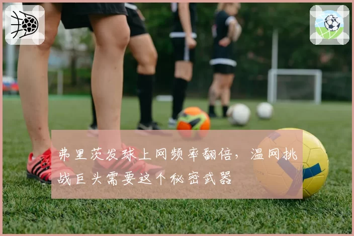 弗里茨发球上网频率翻倍，温网挑战巨头需要这个秘密武器