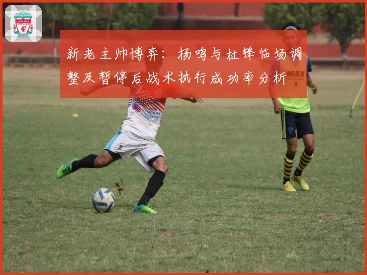 新老主帅博弈：杨鸣与杜锋临场调整及暂停后战术执行成功率分析