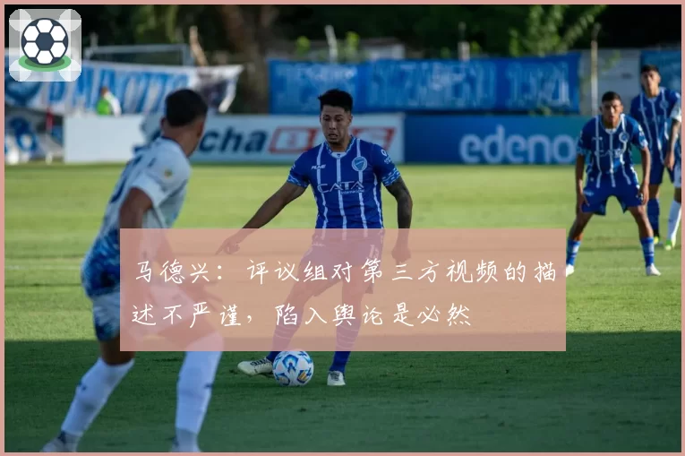 马德兴：评议组对第三方视频的描述不严谨，陷入舆论是必然